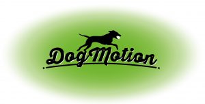 DogMotion